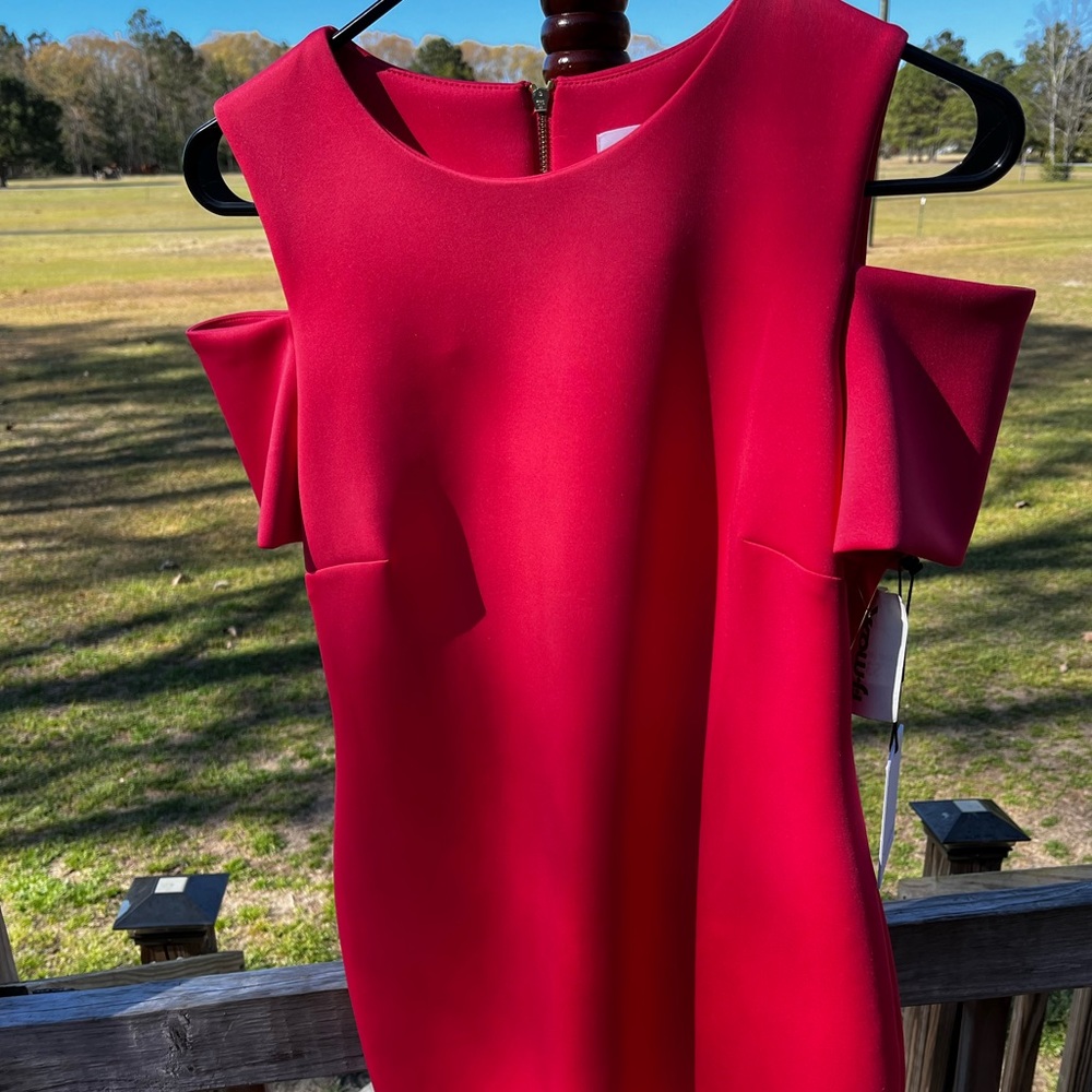 NWT Pink contemporary knee length A line dress. Unknown fabric. Soft to touch.